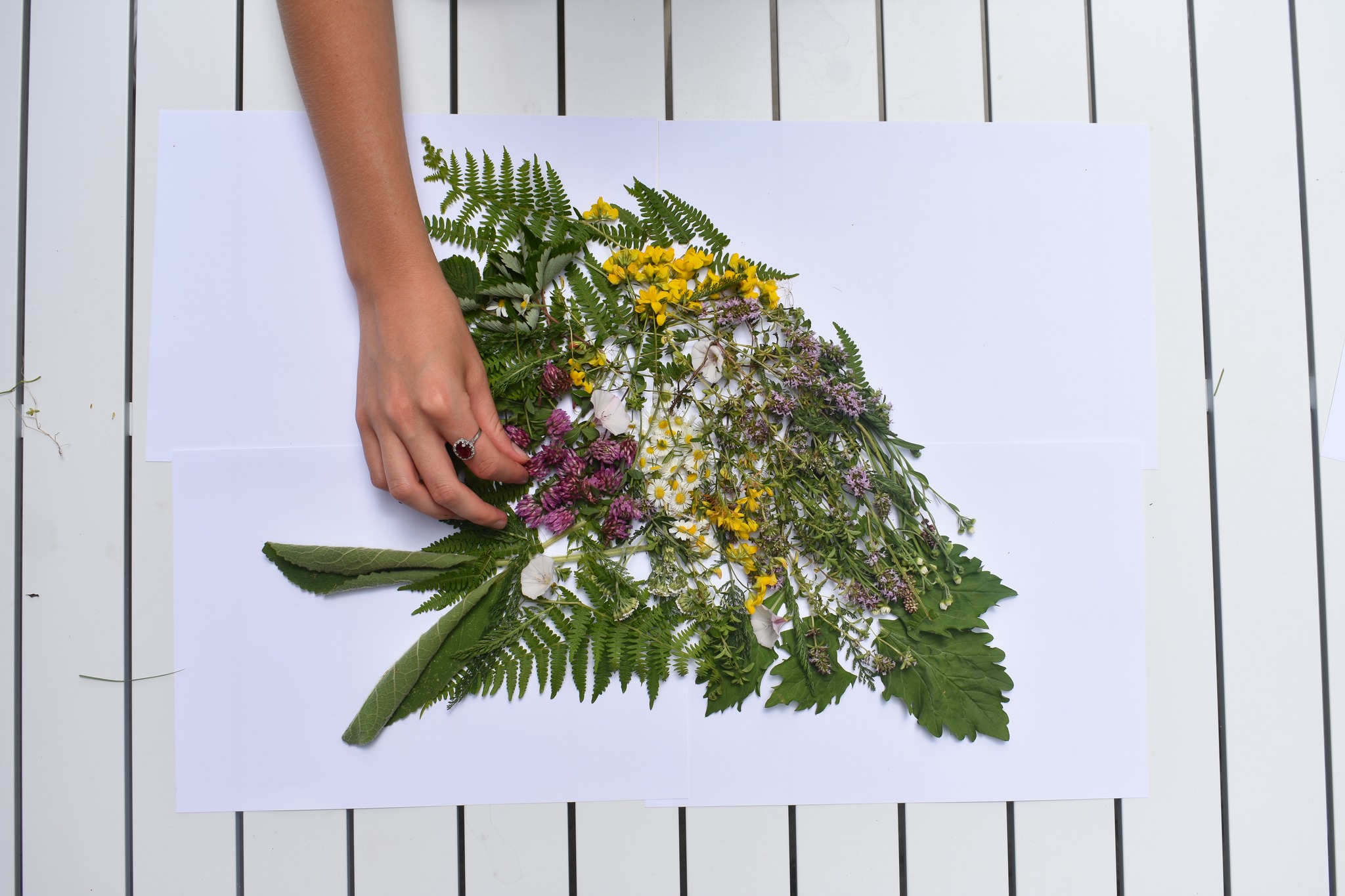 Subjective Atlas of Bosnia and Herzegovina | Post Conflict Research Center